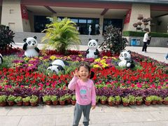 -石家庄市动物园