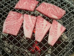 极上纯血和牛牛小排-300杯·和牛烧肉清酒专门店(廊里店)
