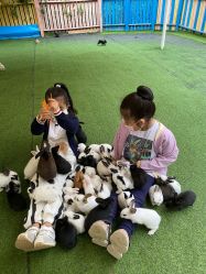 -萌宠亲子动物乐园(槐房万达店)