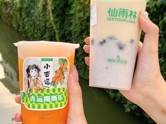 -仙雨林·奶茶鲜果茶(书院巷店)