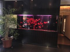 -大唐盲人按摩中心(黄山路店)