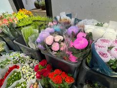 -溪岸路花鸟市场