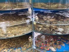 -蓝珊甄选海鲜自助·火锅大排档(近阿那亚店)