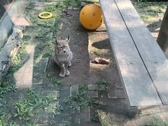 -青藏高原野生动物园