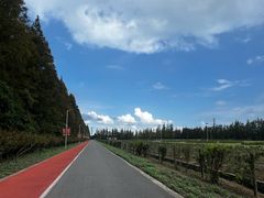 -上海长兴岛郊野公园