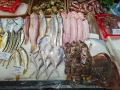 -高佳庄·舟山海鲜(海景旗舰店)