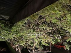 -LAMP BAR 水烟音乐酒吧