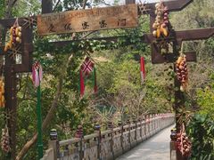 -西双版纳原始森林公园