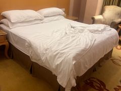 -维也纳酒店(广州南站汉溪长隆地铁站景区店)