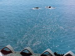 -蜜悦·波西塔诺悬崖海景餐厅