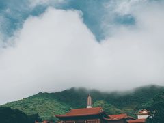 -深圳仙湖植物园