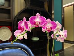 -Yan Ting 宴庭中餐厅(上海静安瑞吉酒店)