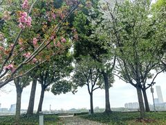 -龙美术馆(西岸馆)