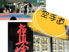 -极真空手道修远道场