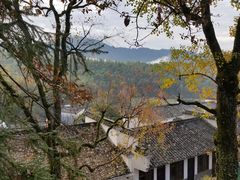 -塔川景区