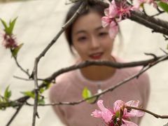 -武汉大学校门牌坊