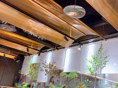 -吉庆莲年有鱼炭烤鱼(苏宁广场店)
