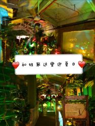 -恐龙探索乐园(磁器口店)