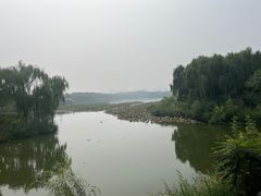 -大兴滨河森林公园