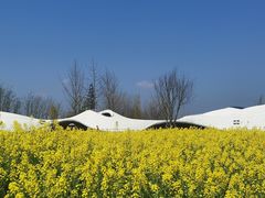 -中国天府农业博览园