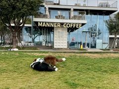 -Manner Coffee(徐汇滨江店)