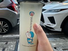 -ICC PUDU