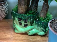 -宝鸡东道花鸟鱼虫市场(吉利花园商场店)