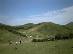 -大姆山草场