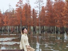 -白鹭湾湿地公园