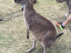 -可伦宾野生动物保护区