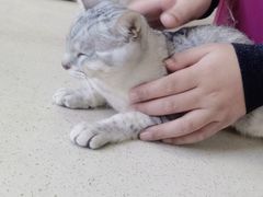 -瑞鹏宠物医院·骨外科·心肾科·肿瘤科(九亭店)
