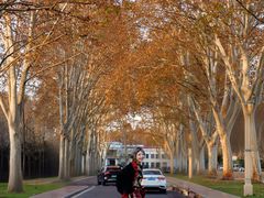 -河南省黄河迎宾馆