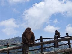 -峨眉山风景名胜区