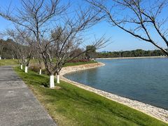 -羊山湖公园
