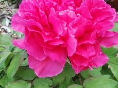 -华南国家植物园-售票处