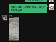 -伟伟宠物医院·CT影像中心·瑞派犬猫综合性门诊(汉口总院)
