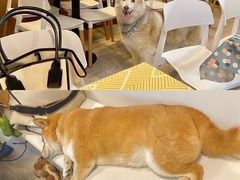 -小时光咖啡馆(北锣鼓巷店)