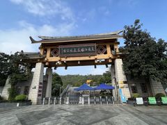 -南宁良凤江国家森林公园