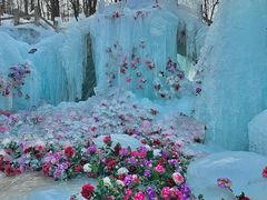 -洛阳白云山景区