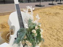 -天津东丽湖风景区