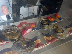 -花环泰拳·勒德斯拉泰拳馆(静安店)