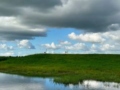 -黑龙江扎龙生态旅游区