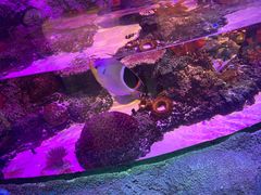 -沈阳海洋探索中心