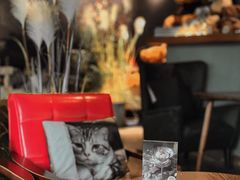 -咖法森林·咖啡  酒吧(天河店)