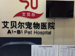 -艾贝尔宠物医院 ·内科全科(梁溪路店)