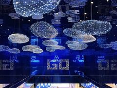 -盒马X会员店(上海森兰商都店)