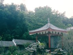 -清湖文化公园