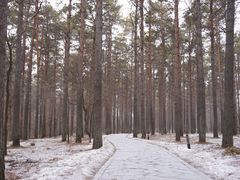 -长春净月潭风景名胜区