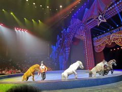 -珠海横琴长隆《卡卡虎奇遇记》