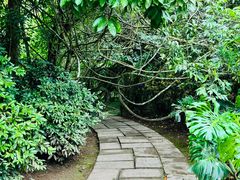 -中国科学院西双版纳热带植物园